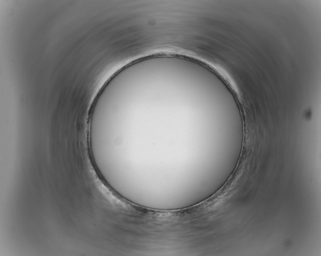 X0000089730903200706210913