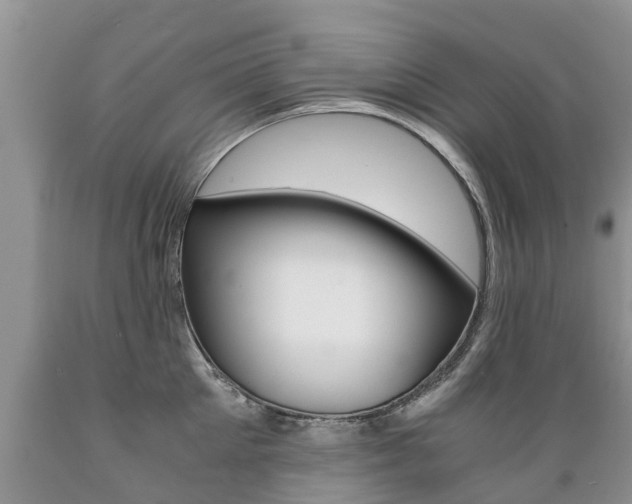 X0000089730905200706210913