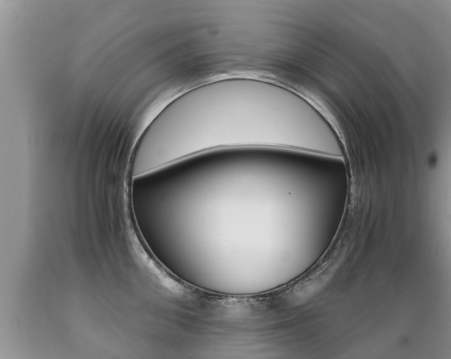 X0000089730906200706210913