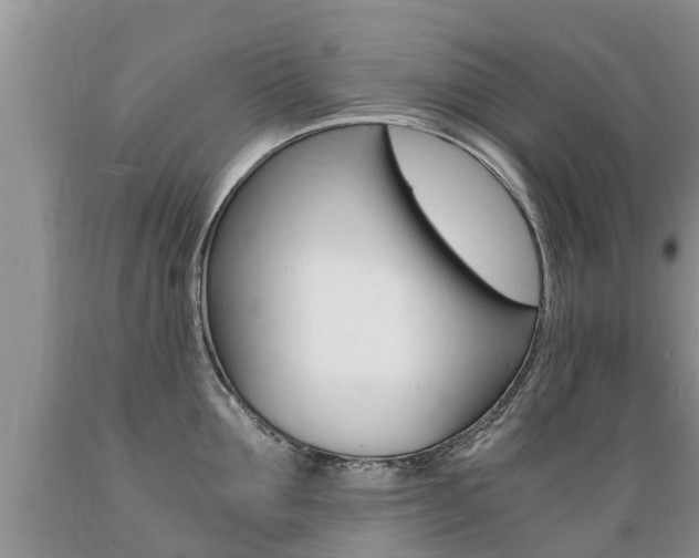 X0000089730907200706210913