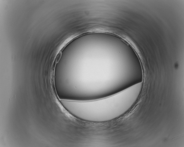 X0000089730909200706210913