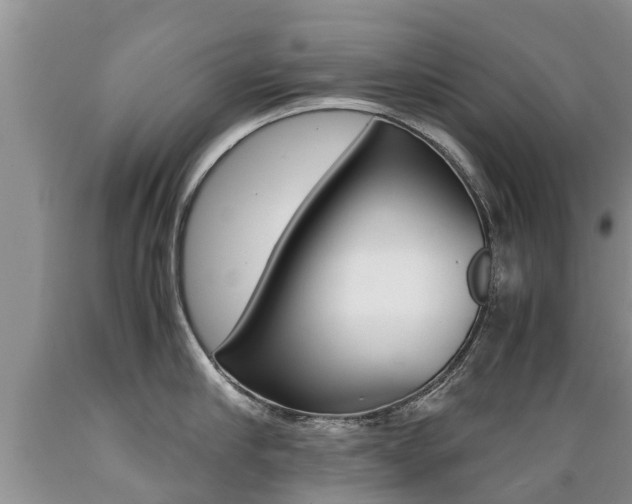 X0000089730910200706210913