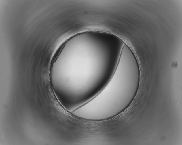 X0000089730912200706210913