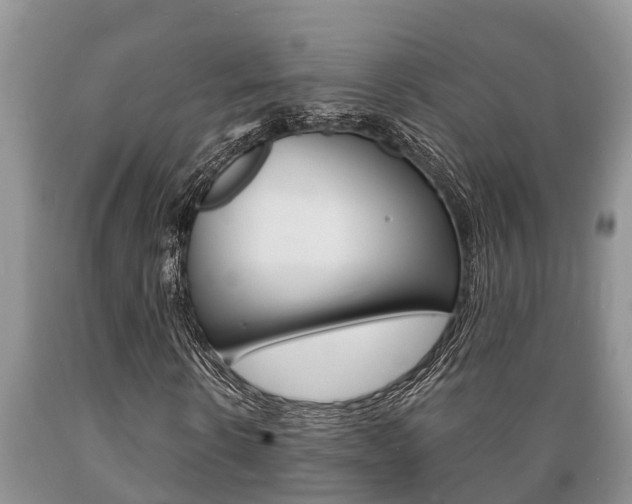 X0000089730914200706210913