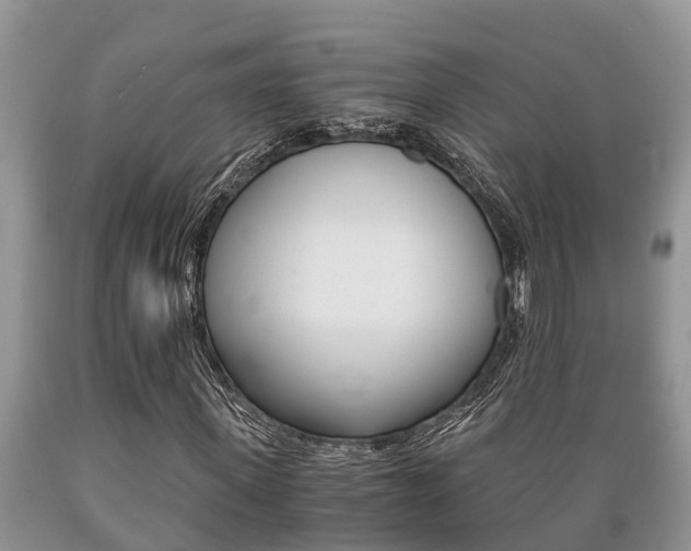 X0000089730915200706210913