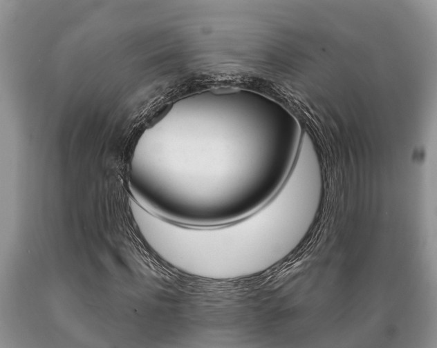 X0000089730916200706210913