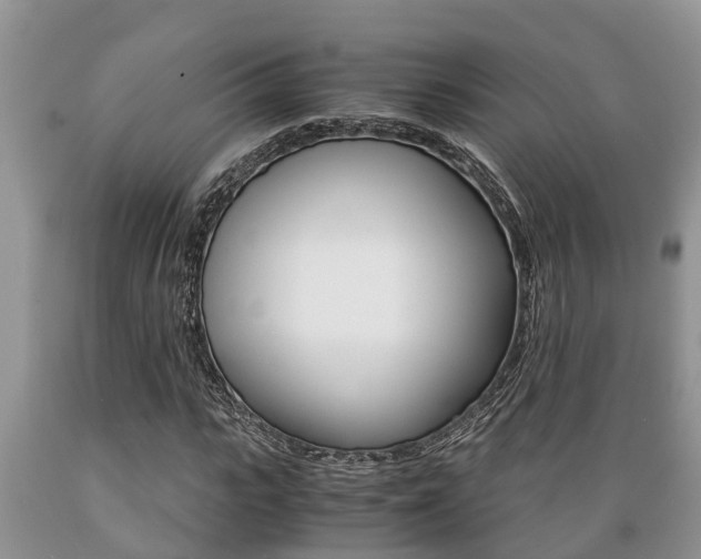 X0000089730919200706210913