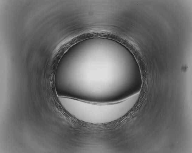 X0000089730920200706210913