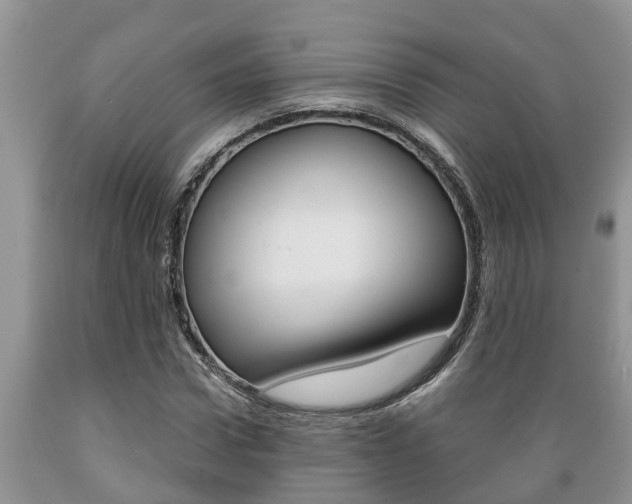 X0000089730922200706210913