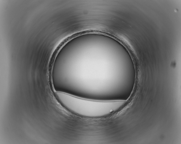 X0000089730924200706210913