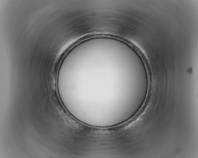 X0000089730925200706210913
