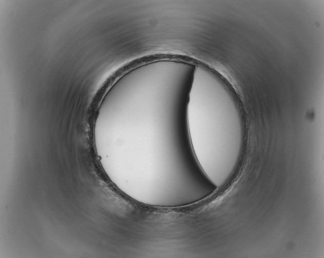 X0000089730926200706210913