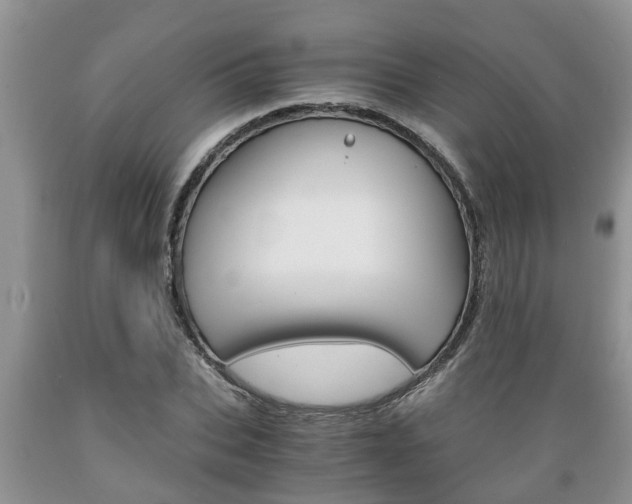 X0000089730927200706210913