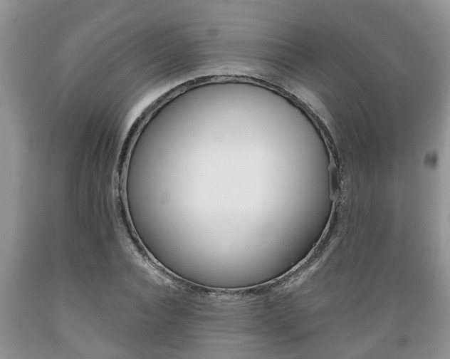 X0000089730928200706210913
