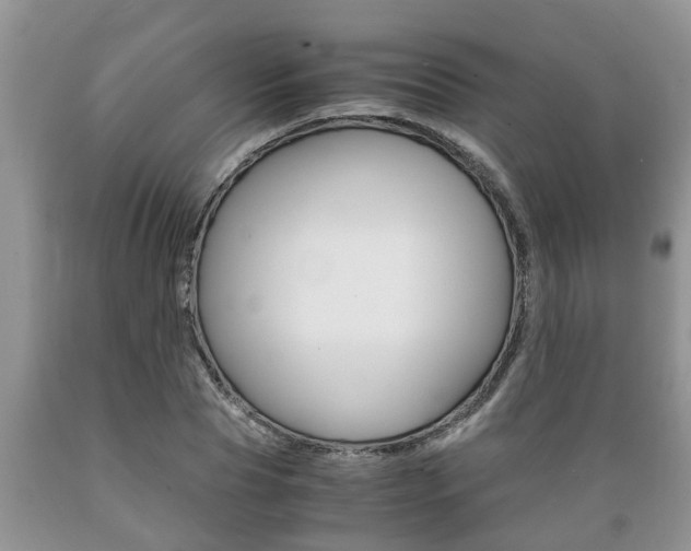 X0000089730929200706210913