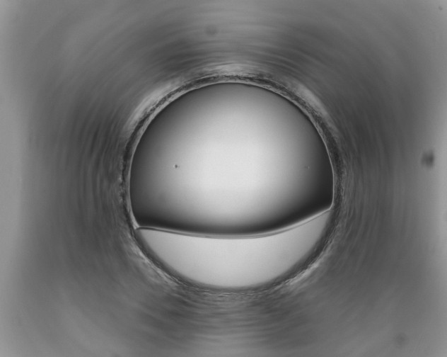 X0000089730930200706210913