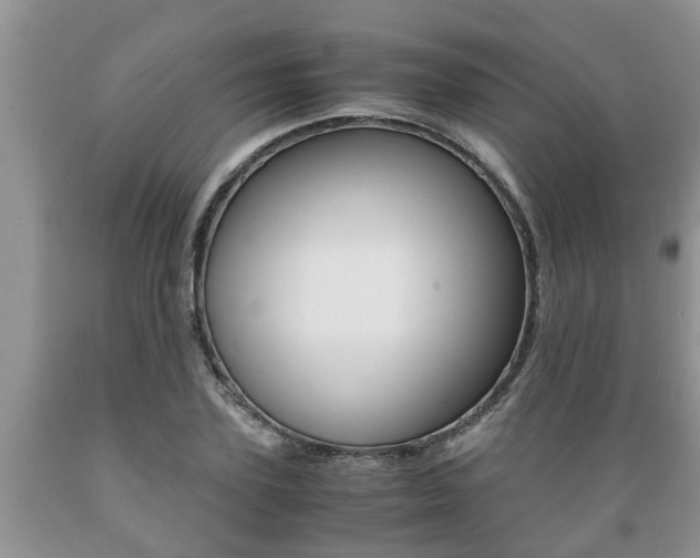 X0000089730931200706210913