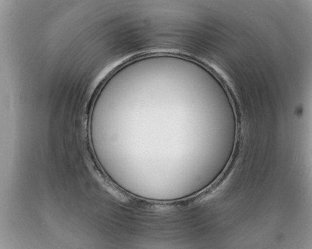X0000089730933200706210913