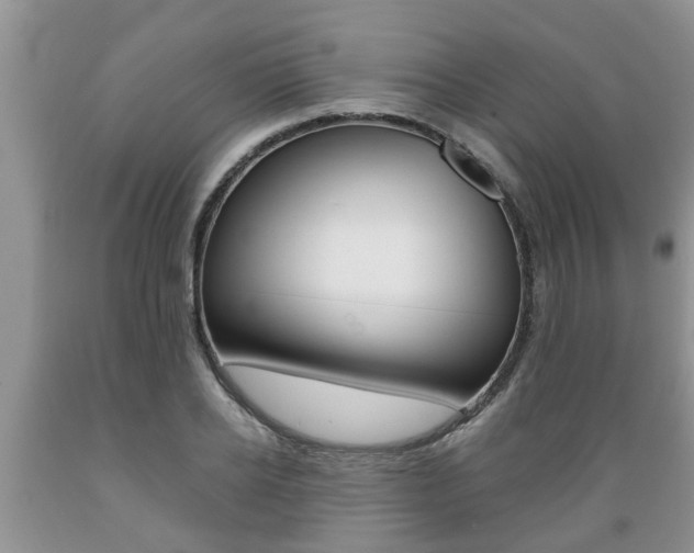 X0000089730934200706210913