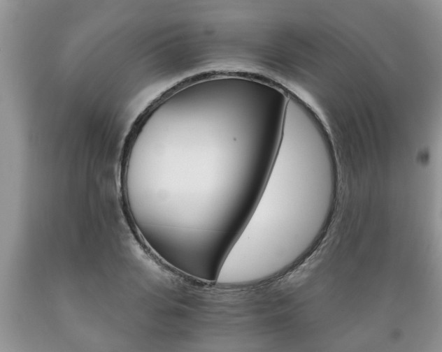 X0000089730935200706210913