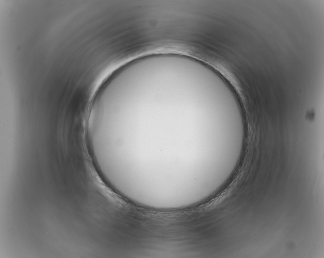 X0000089730936200706210913