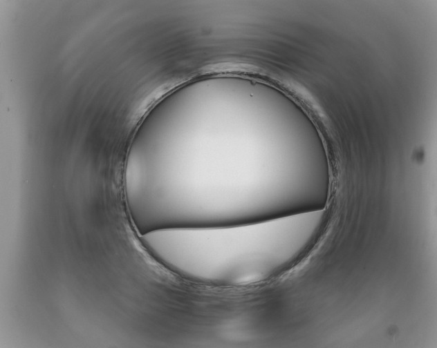 X0000089730937200706210913