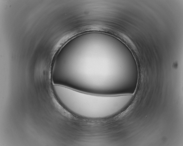 X0000089730938200706210913