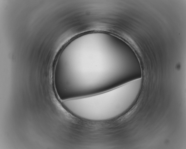 X0000089730939200706210913