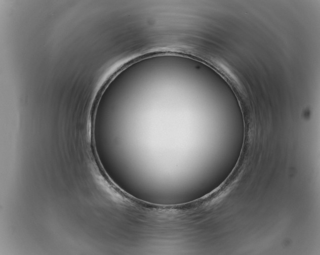 X0000089730940200706210913