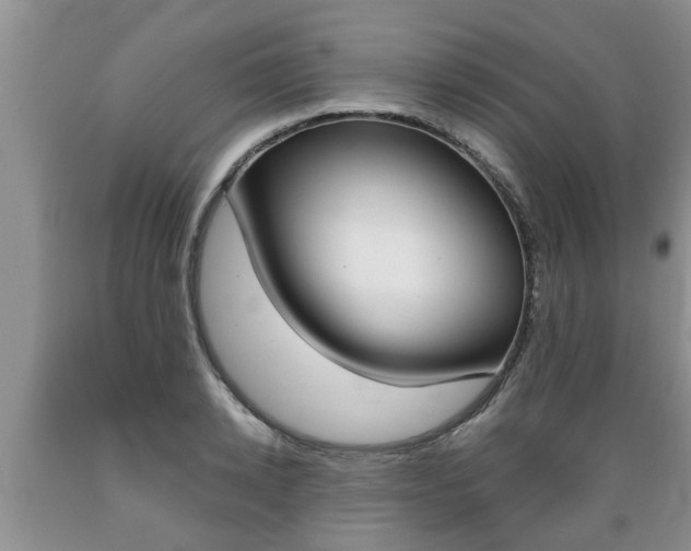X0000089730942200706210913