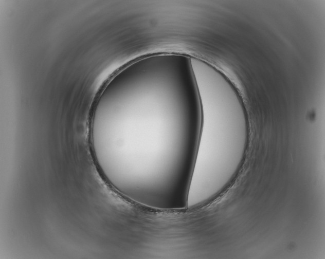 X0000089730944200706210913
