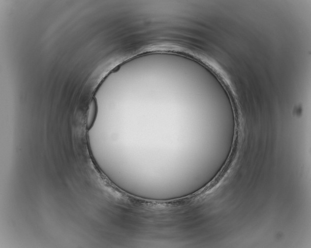 X0000089730945200706210913