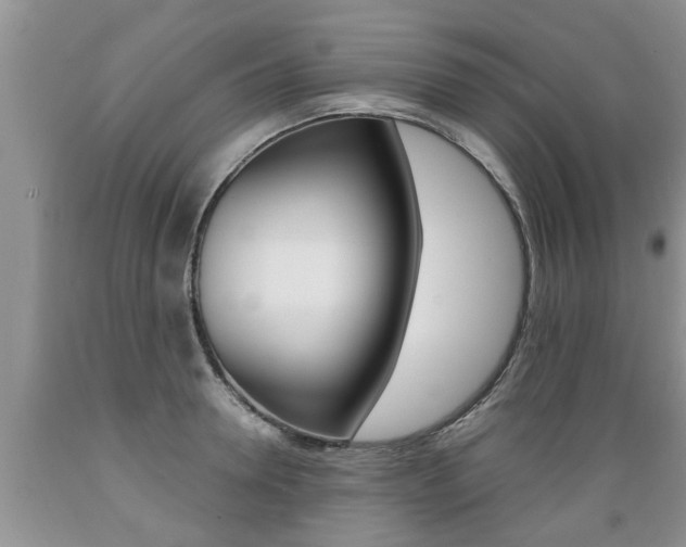 X0000089730946200706210913