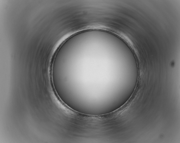 X0000089730947200706210913