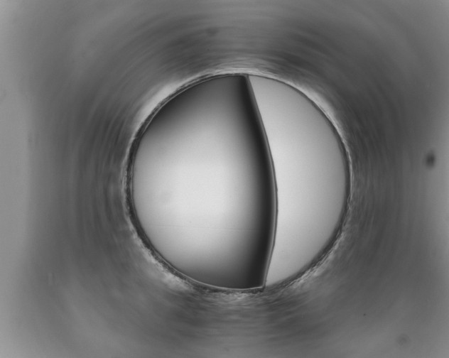 X0000089730949200706210913