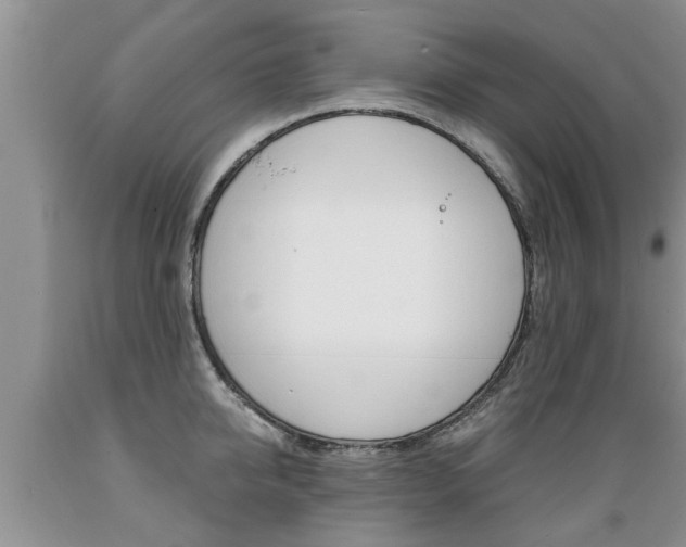 X0000089730950200706210913