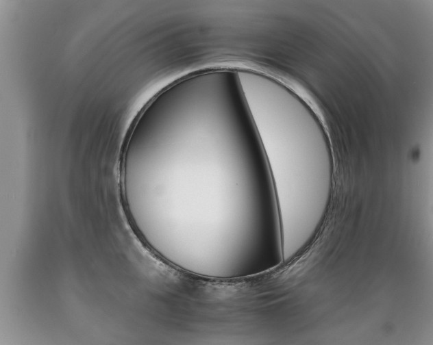 X0000089730951200706210913