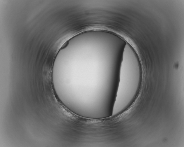 X0000089730953200706210913