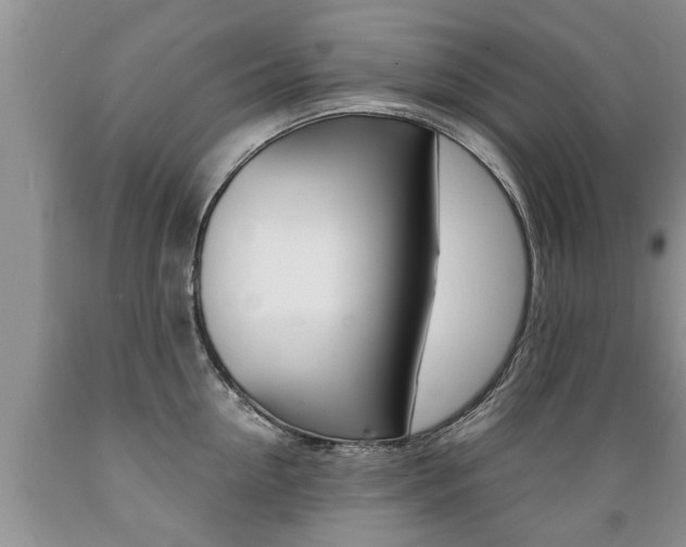 X0000089730954200706210913