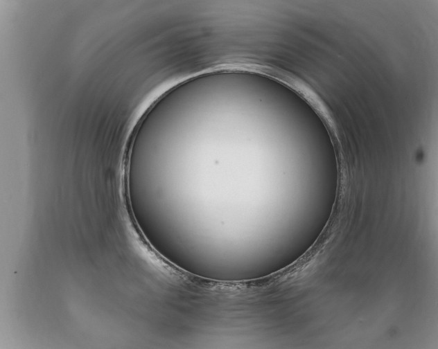 X0000089730955200706210913