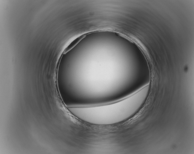 X0000089730956200706210913