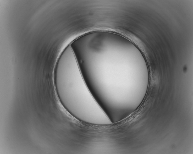 X0000089730958200706210913