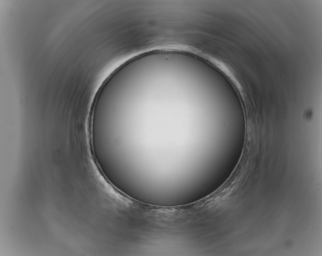X0000089730959200706210913