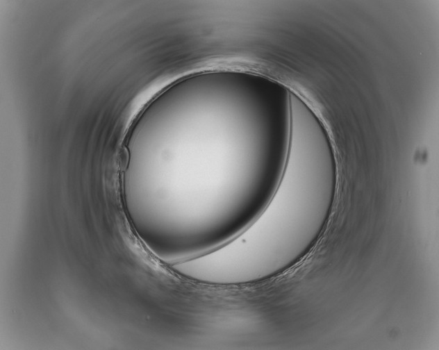 X0000089730960200706210913