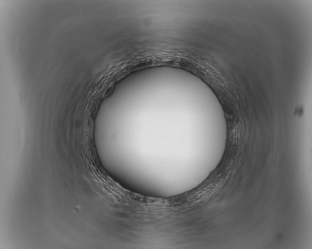 X0000089730961200706210913