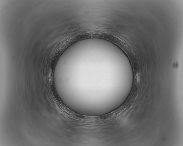 X0000089730963200706210913