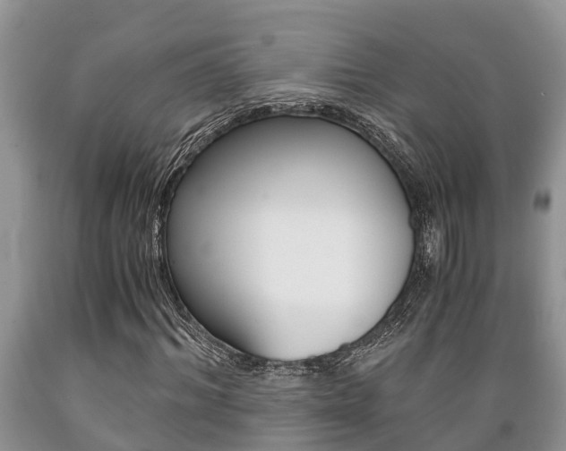 X0000089730964200706210913