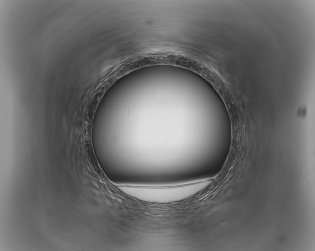 X0000089730965200706210913