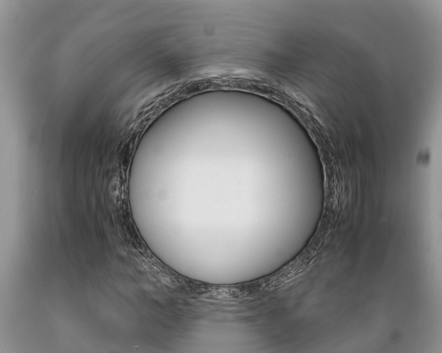 X0000089730966200706210913