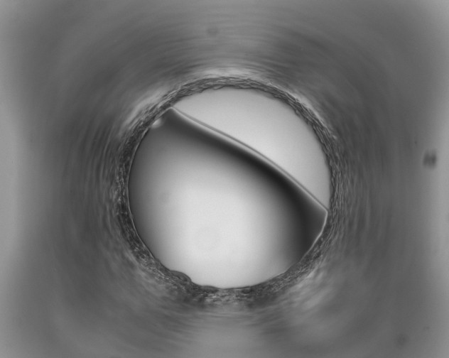 X0000089730967200706210913